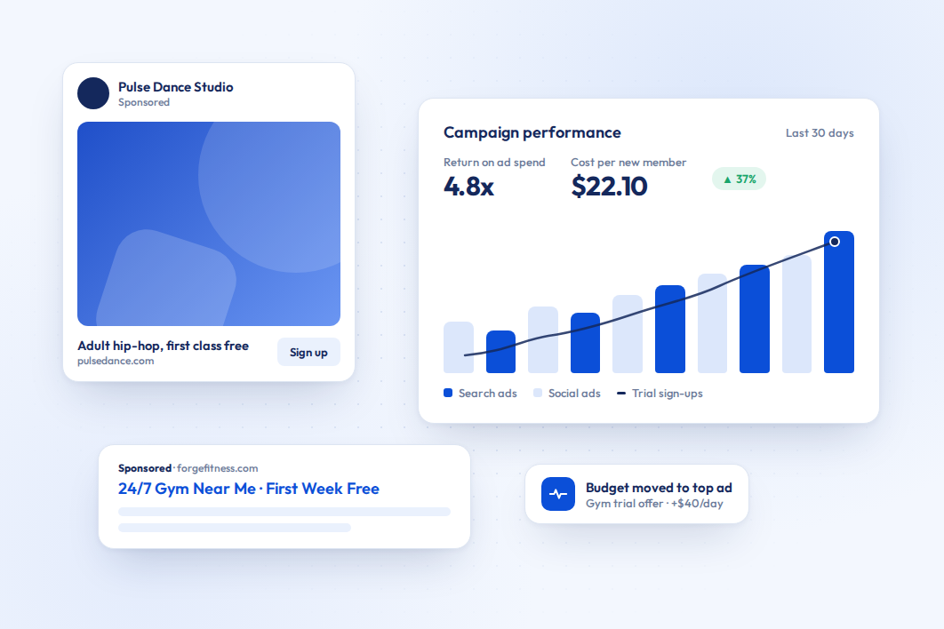 AdsPulse product preview
